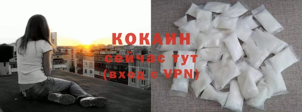 дживик Богородицк