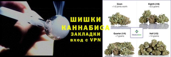 дживик Богородицк