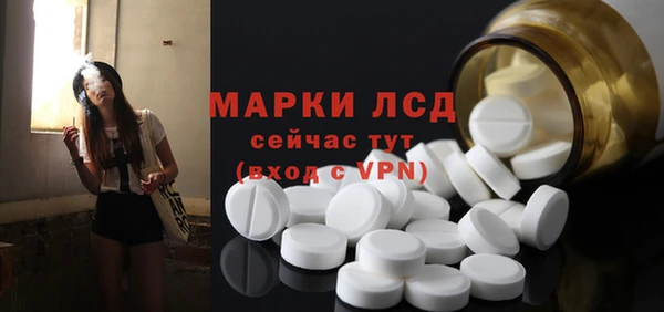 прущие грибы Бронницы