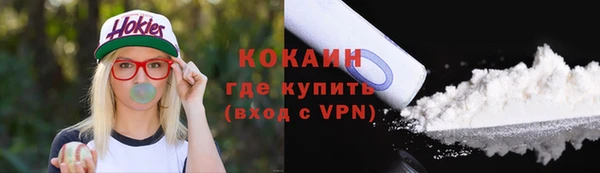 дживик Богородицк