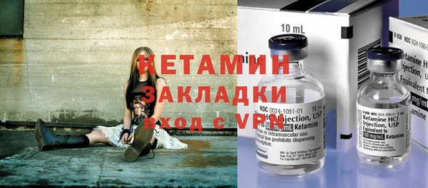 прущие грибы Бородино