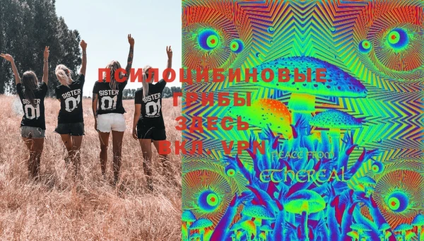PSILOCYBIN Богородск