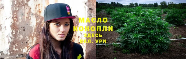 дживик Богородицк