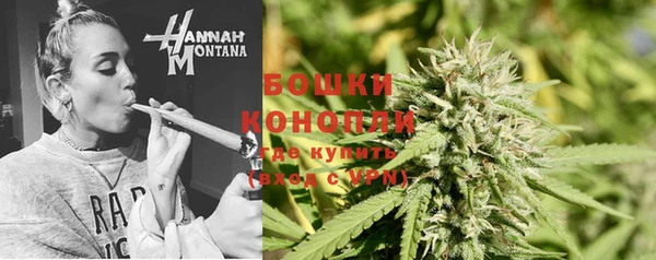 прущие грибы Бронницы