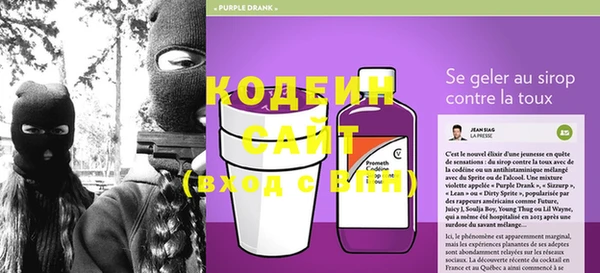 дживик Богородицк