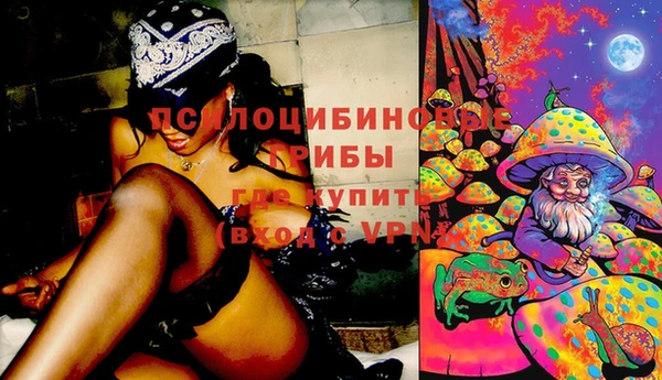 PSILOCYBIN Богородск