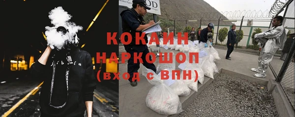 дживик Богородицк