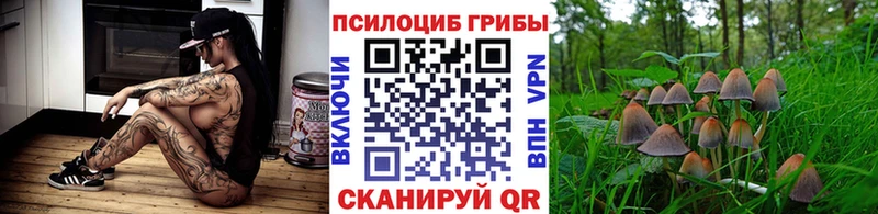 Галлюциногенные грибы GOLDEN TEACHER  Миньяр 